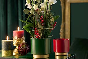 Discount extra Vase Craciun!