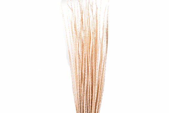 AÇAI Grass Pastel