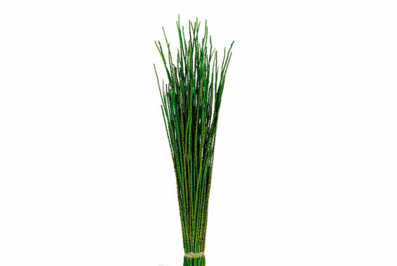 AÇAI Grass Color