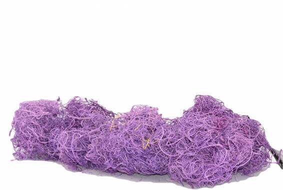 Curly Moss Press Pastel