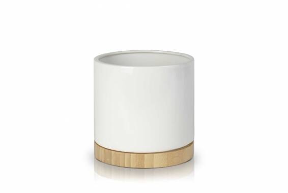 Barcelona Wood