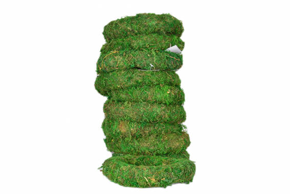 Inel Moss