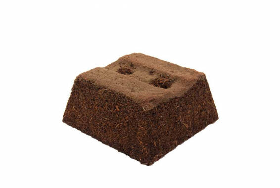 TerraBrick Floral Media