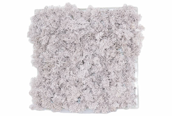VeryMoss Fire Resistant