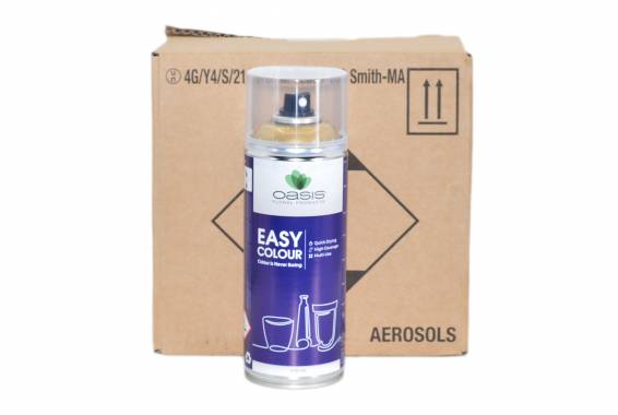 Spray Oasis Easy Color Metallic