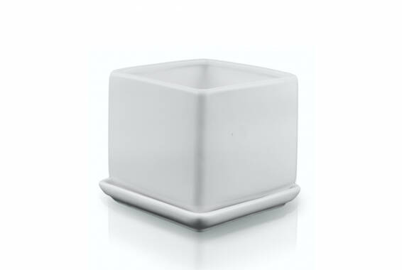 38 Collection, White