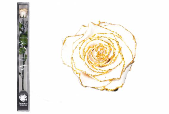 Roseamor Glitter