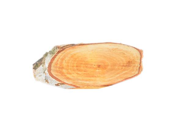 Disc Oval