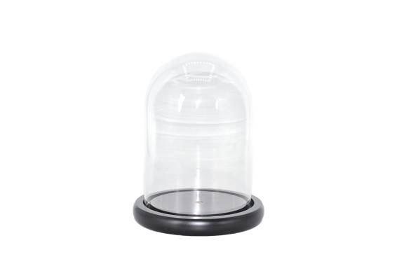 Cupola Sticla