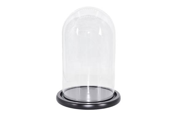 Cupola Sticla