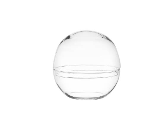 Terrarium Globe