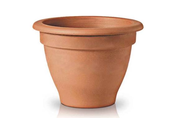 Ita