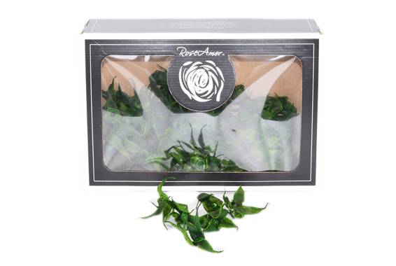 Roseamor Sepals