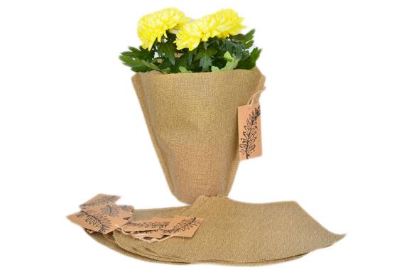 Ambalaj plante Martha