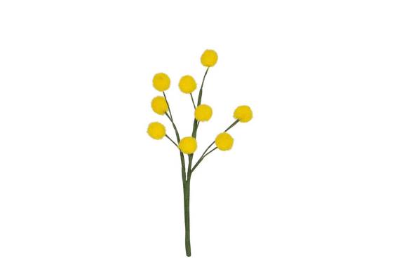 Pick Mimosa