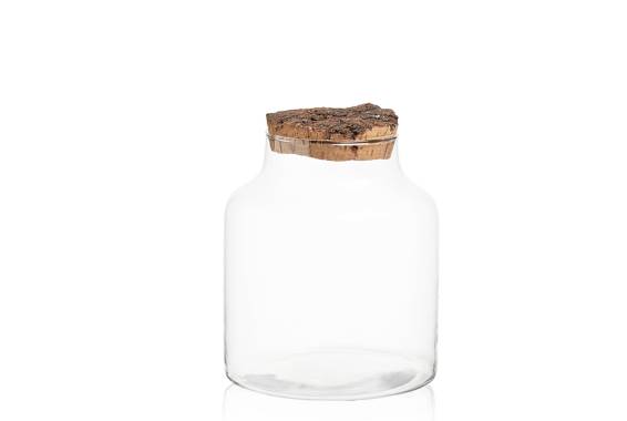 Terrarium Nature
