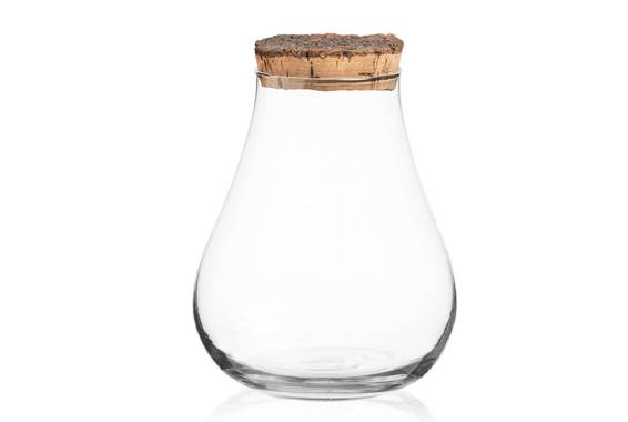 Terrarium Bolivia