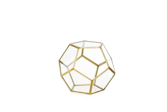 Terrarium Penta
