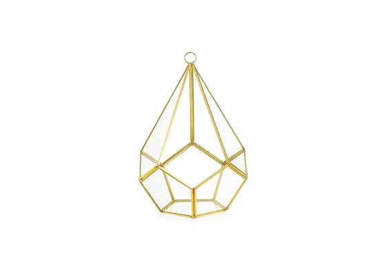Terrarium Penta