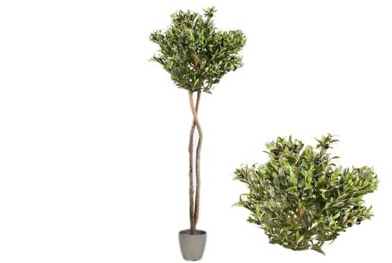 Copac artifcial Olive