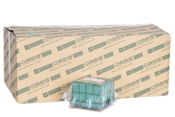 Suport Oasis, Auto-Corso