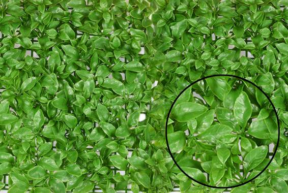 Panou artificial Basil