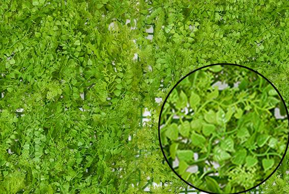 Panou Small Jungle