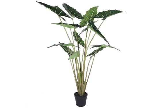 Copac artifcial Alocasia