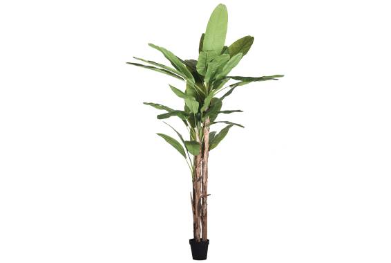 Copac artificial Traveller Palm