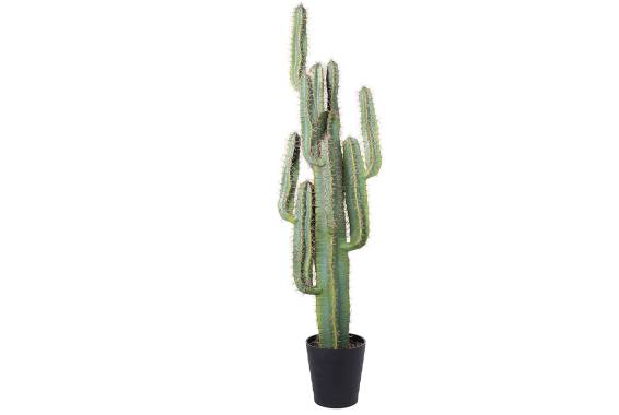 Copac artificial Cactus