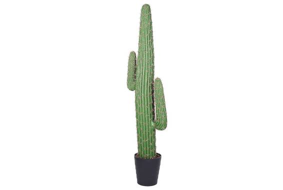 Copac artificial Cactus
