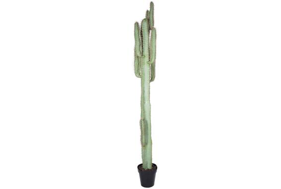 Copac artificial Cactus