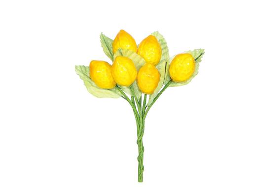 Pick Lemons Leaves