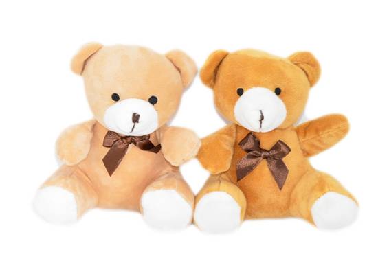 Plush Teddy Bear