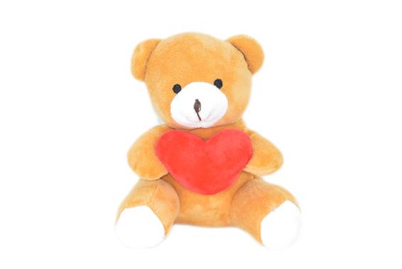 Plush Teddy Bear