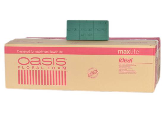 Oasis Ideal