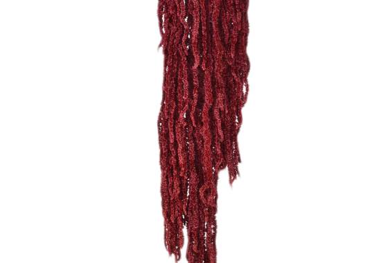 Amaranthus buchet