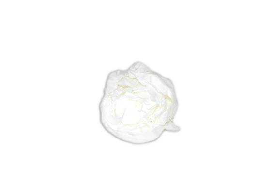 Peony Preserved