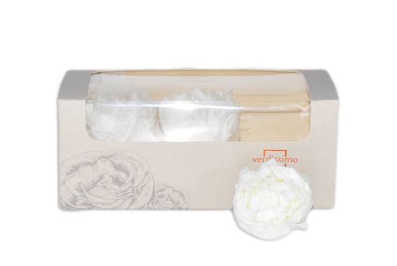 Peony Preserved