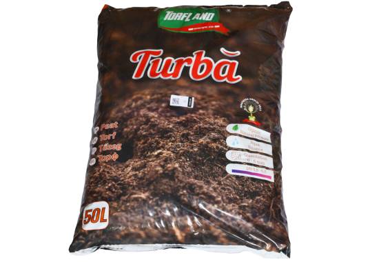 Turba