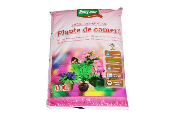 Substrat Plante Camera