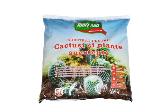 Substrat pentru Cactusi