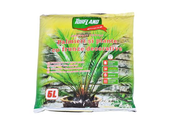 Substrat Pentru Palmieri Si Plante Cu Frunze Decorative
