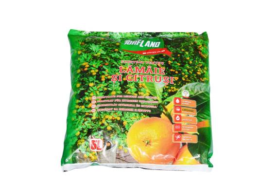 Substrat Lamai, Citrus