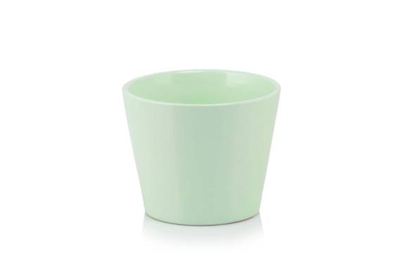 Primrose Pastel
