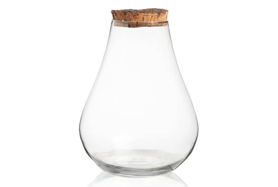 Terrarium Bolivia