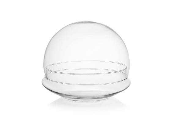 Terrarium Globe