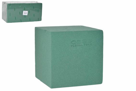 Cub Oasis Ideal