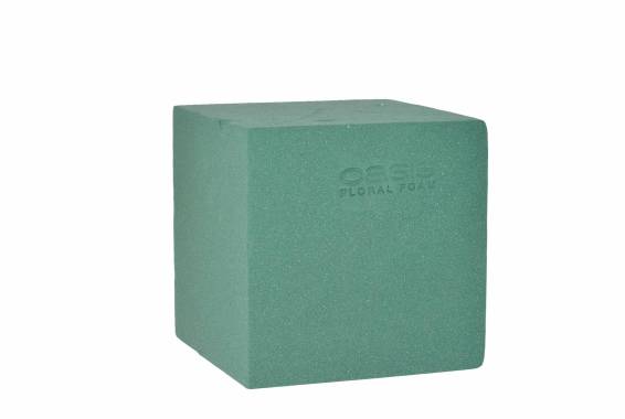 Cub Oasis Ideal