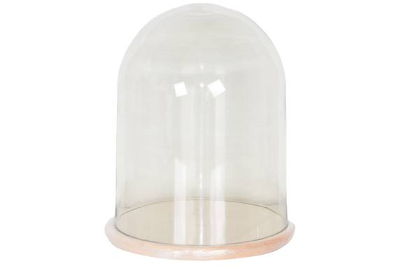 Cupola Sticla